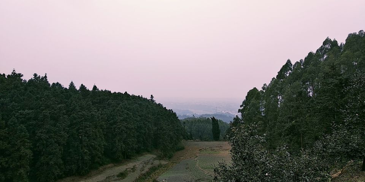 富顺县