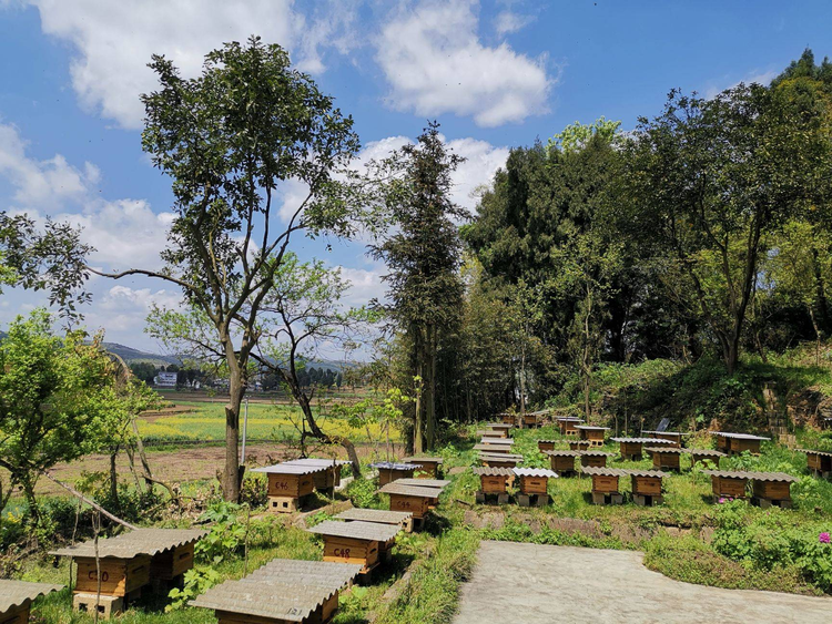 禄劝彝族苗族自治县