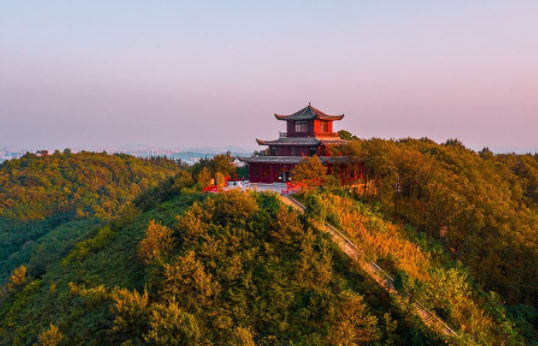 蔡甸区