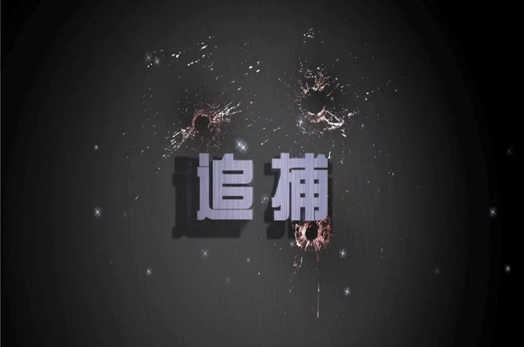 追捕