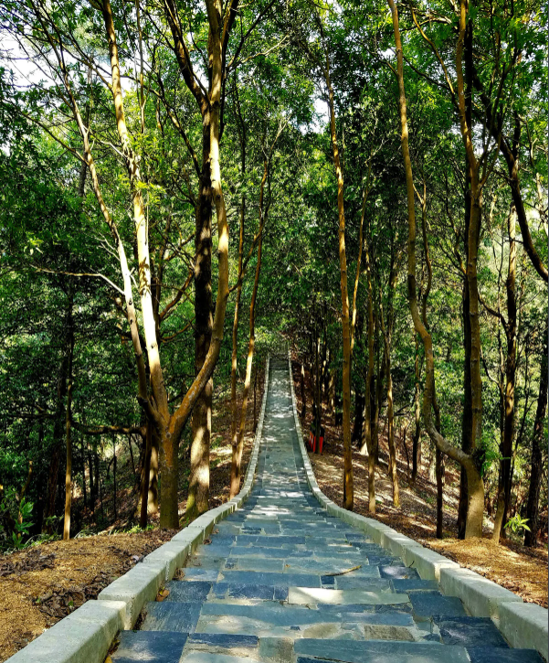 中山市五桂山风景区图片