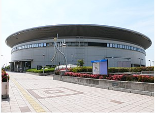 2023年世界女排联赛