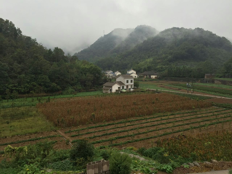高古庄镇