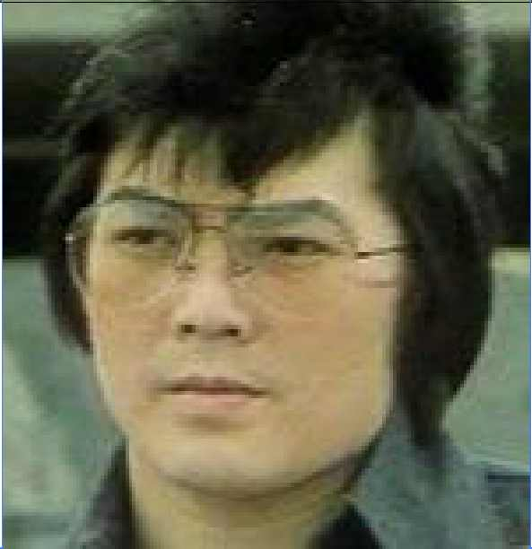 诸葛亮