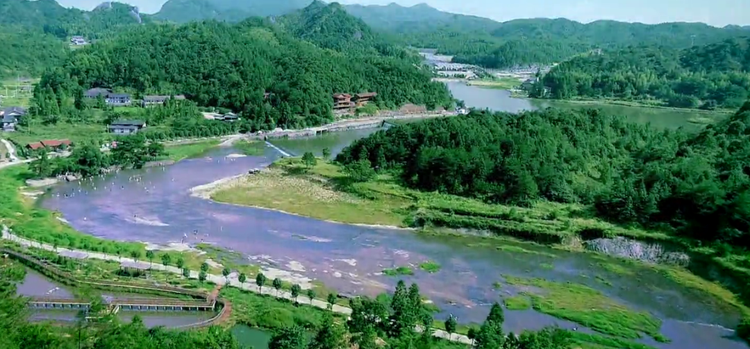 仙水洋4.png