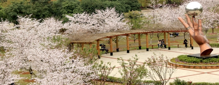 东华理工大学
