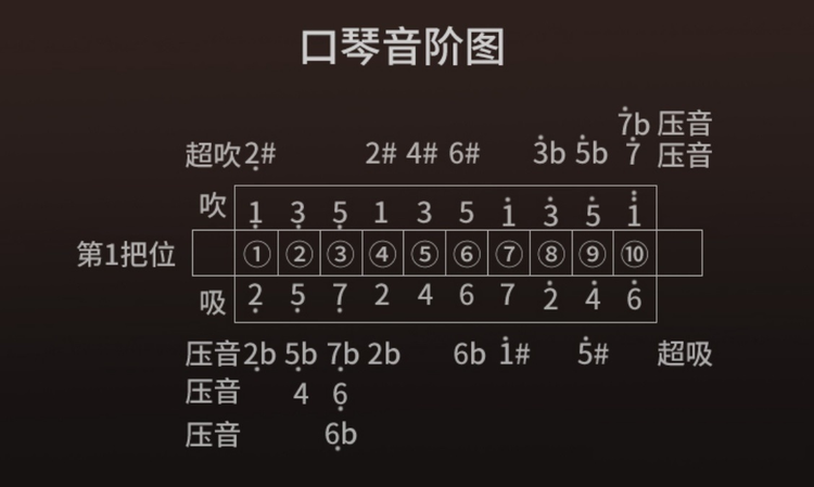 口琴