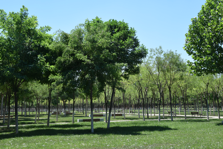 天津中德应用技术大学