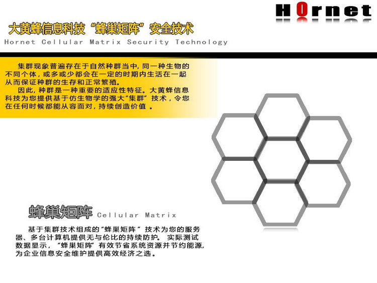 大黄蜂信息科技有限公司