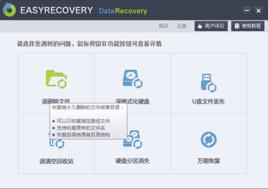 EasyRecovery Professional
