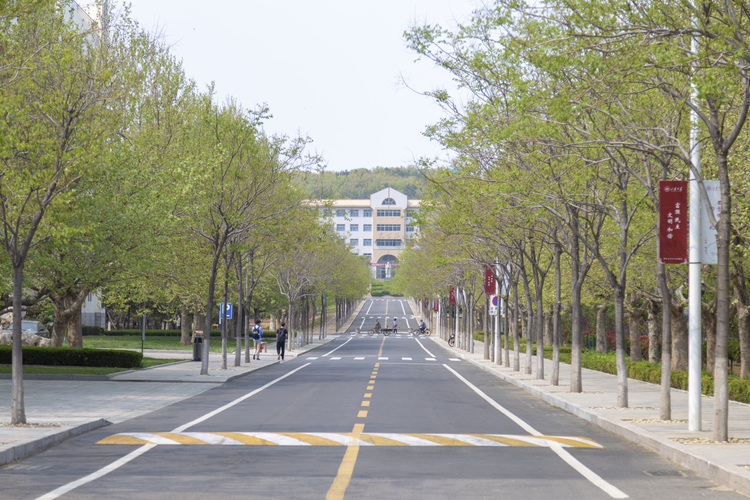 山东大学