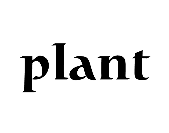 plant