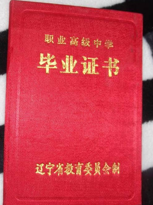 职业高中