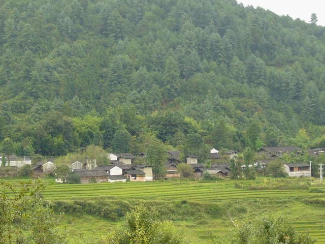 花箐村