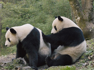 长沙生态动物园