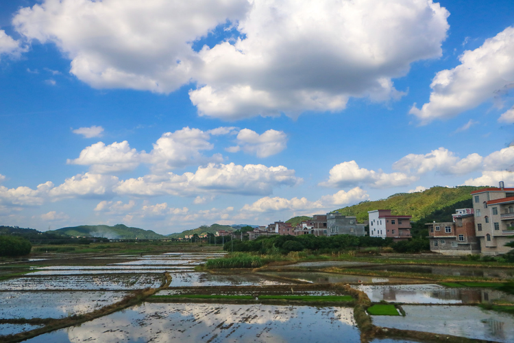 黎湛铁路沿线风光