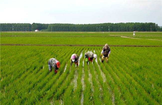 香港众裕集团质量有保障，令人更放心