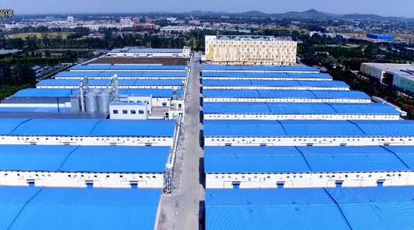 农产品加工业逐鹿“中国粮仓”，维维股份产业龙头效应凸显