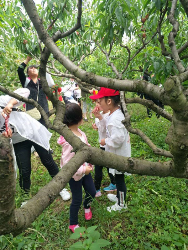 图片6.jpg
