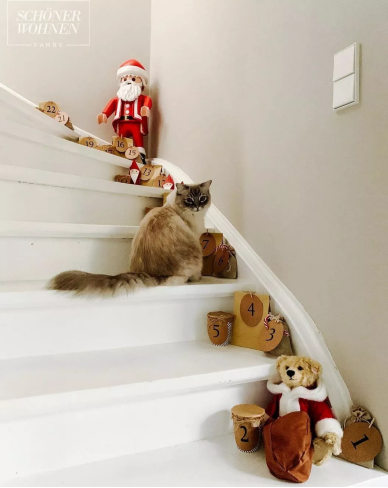 舒纳DIY | 将高级圣诞风引入你的家