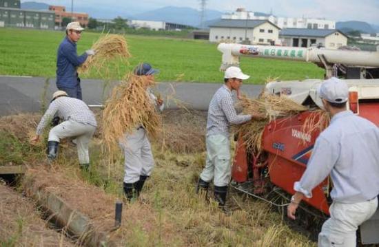 揭秘华西村：女不外嫁 富三代开豪车去村企上班