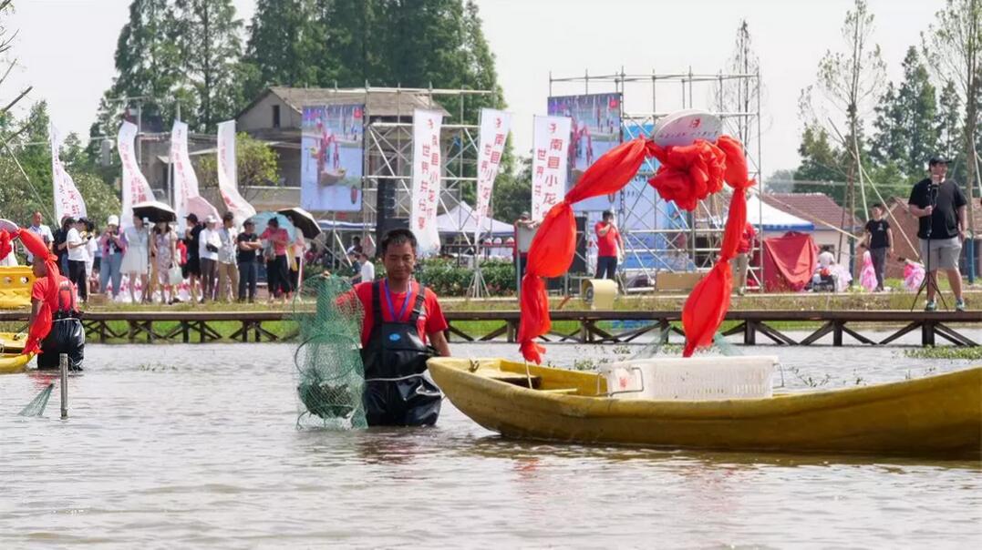 【重磅】全球直播回放│南县首届小龙虾捕捞节暨万人网红直播节圆满落幕！