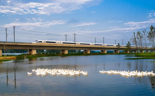 安徽定远：聚焦乡村振兴战略谱写绿色发展新篇章