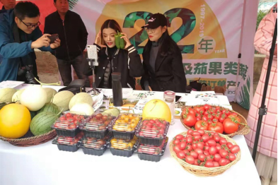 第二届王奉白玉山药电商文化大集盛大开幕，白玉山药燃爆线上线下