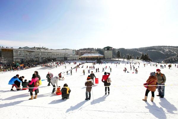 重磅！仙女山首降大雪，国际冰雪季本周六开幕