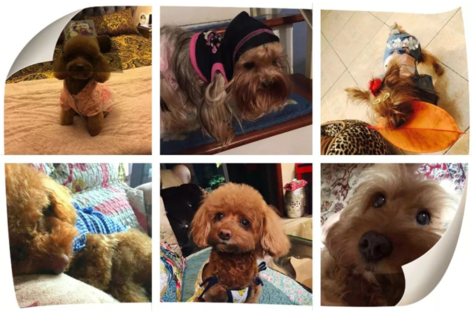 易算盘人物专访 | 呆萌暖男陈士涛：“稳”就一个字！