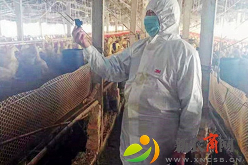 曲阜市农业农村局 明确防控职责抗击疫情 助力指导群众有效防护