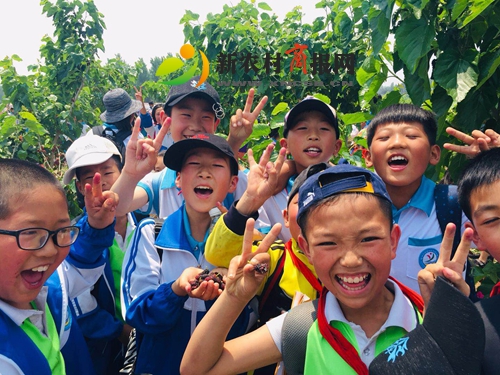 胶州市苑戈庄小学：开展庆“六一”研学旅行