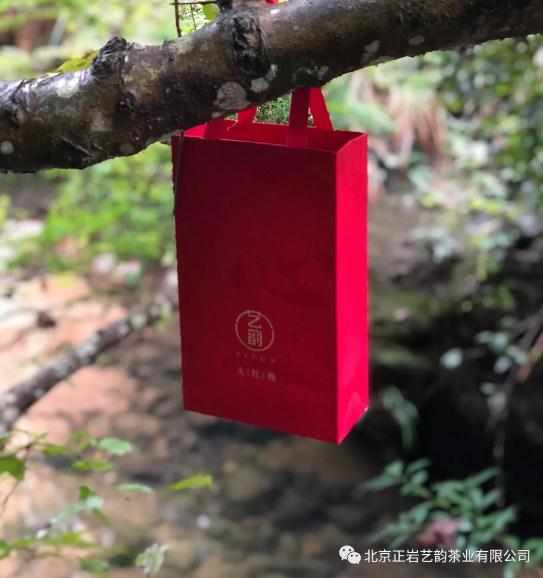 2019中国茶业制茶大师——黄锋荣获新晋 “茶王”实至名归