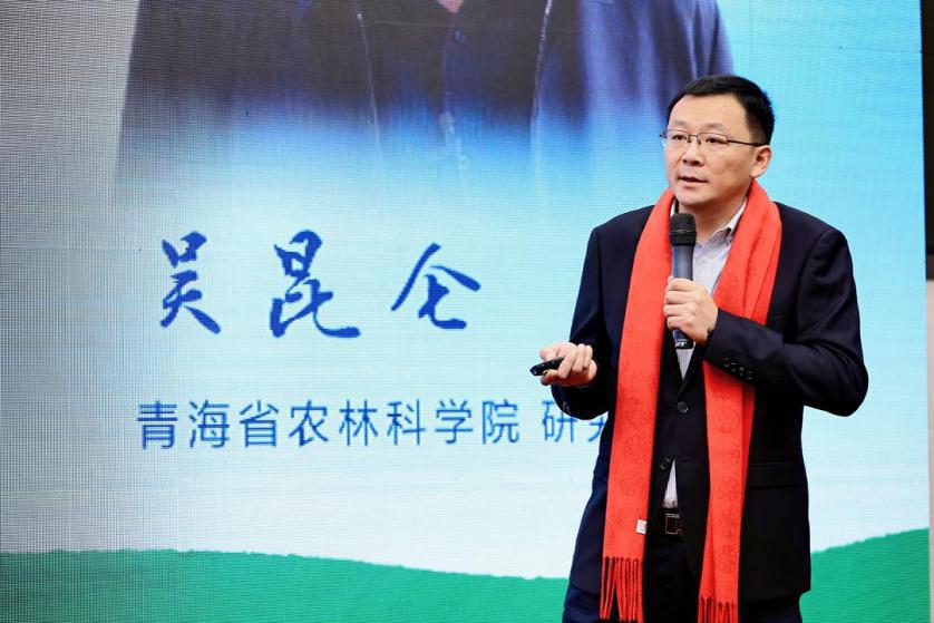 青海青稞产业发展提速 培育高原脱贫“金种子”