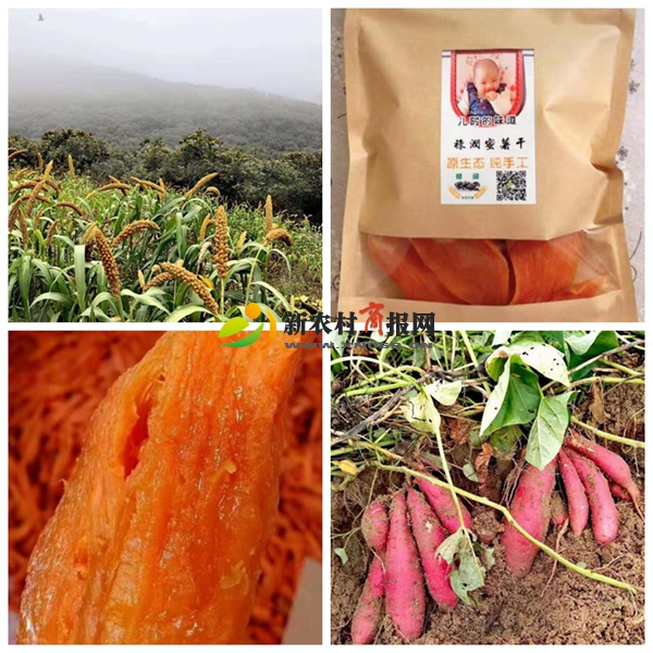 禄润生态农业发展有限公司荣获山东省“AAA级放心企业”称号