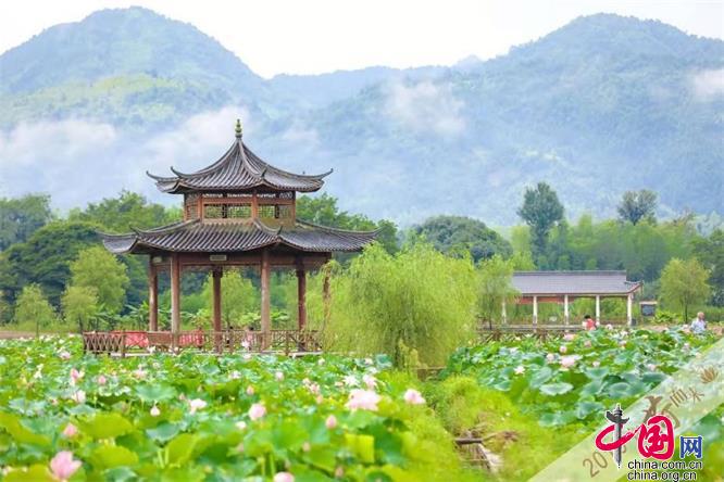 2019“为荷而来”第四届中国建莲文化旅游嘉年华盛大启幕