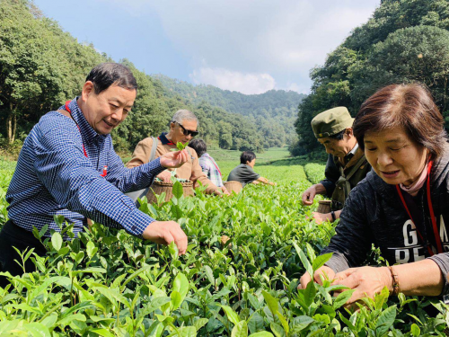 汉唐华盛：着眼养老未来，旅居步履不停