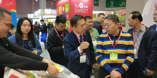 临高电子商务进农村凤梨产业推荐会主会圆满举行