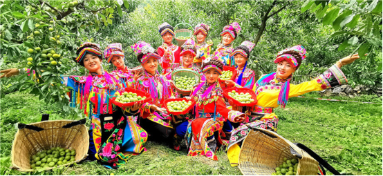 十年茂县李 羌山尽欢颜