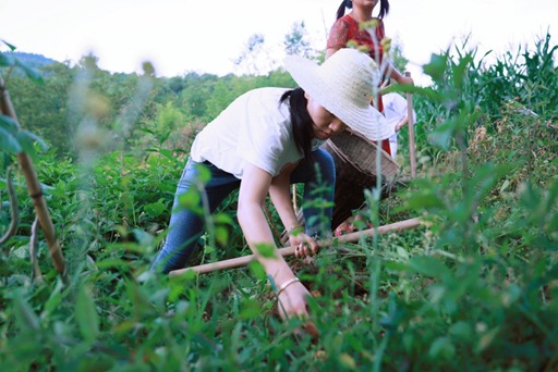 以天食为媒巴东农品再次“远嫁”全国各地