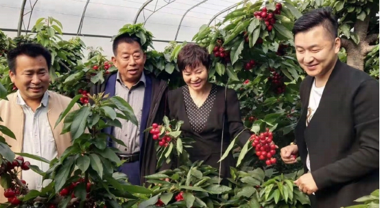 公让宝数字农业慧赢华夏实体电商引领新风尚