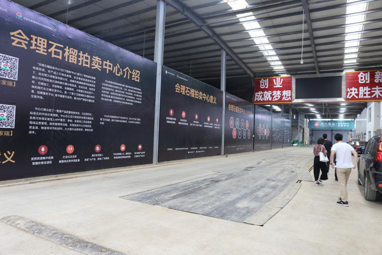 会理石榴即将开拍！农商通深入会理对最后工作部署安排