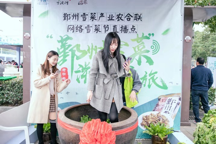 “非遗”雪菜成网红 2019第三届鄞州雪菜网络文化节圆满落幕