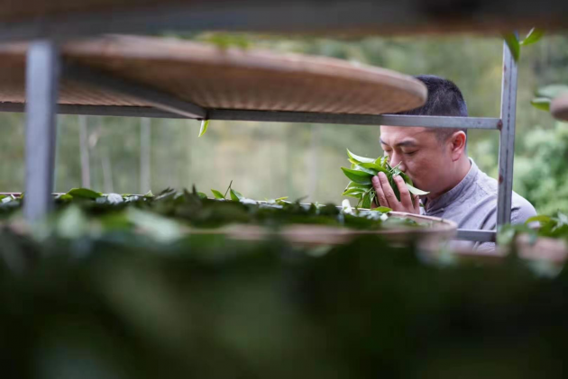 2019中国茶业制茶大师——黄锋荣获新晋 “茶王”实至名归