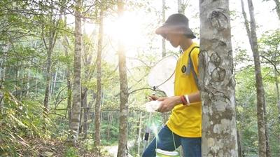 15岁高中生琥珀中发现恐龙时代新物种 距今约9900万年