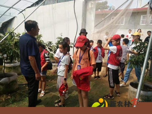 平度市仁兆镇传承优秀传统文化塑造美德少年