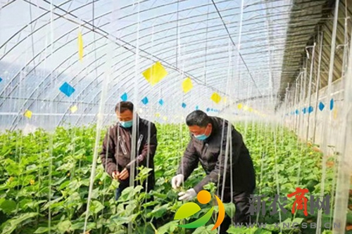 曲阜市农业农村局 明确防控职责抗击疫情 助力指导群众有效防护