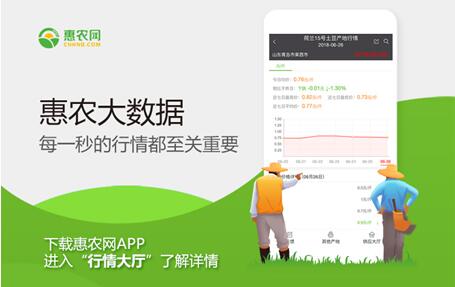 2万多个品种全覆盖 惠农网大数据带你读懂农产品市场