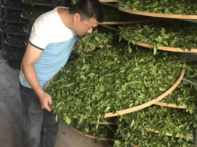 2019中国茶业制茶大师——黄锋荣获新晋 “茶王”实至名归