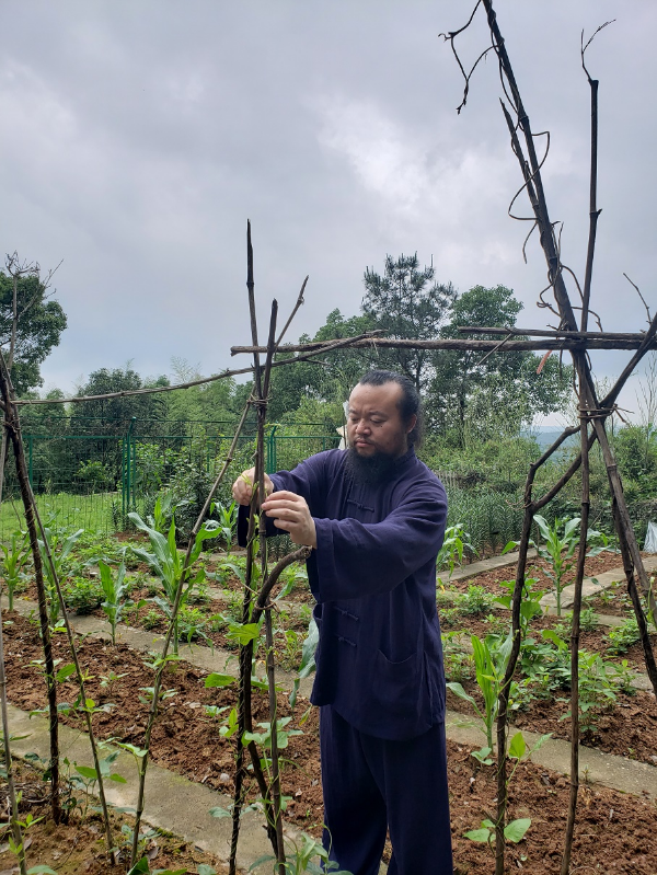 农民学者无量子谈阳台种菜技巧与季节时蔬